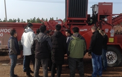 覆蓋物 - 綠色產業新發展