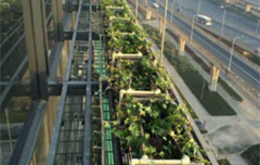 上海虹橋商務大廈立體綠化