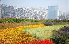 國家體育中心外綠地