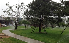 北京雁棲湖 APEC會議中心