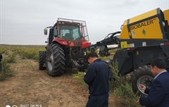 2019年，內(nèi)蒙奈吉牧草有限公司，采購(gòu)一臺(tái)Anderson檸條平茬機(jī)